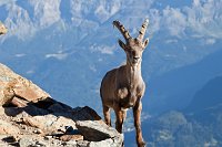 IMG_8921
