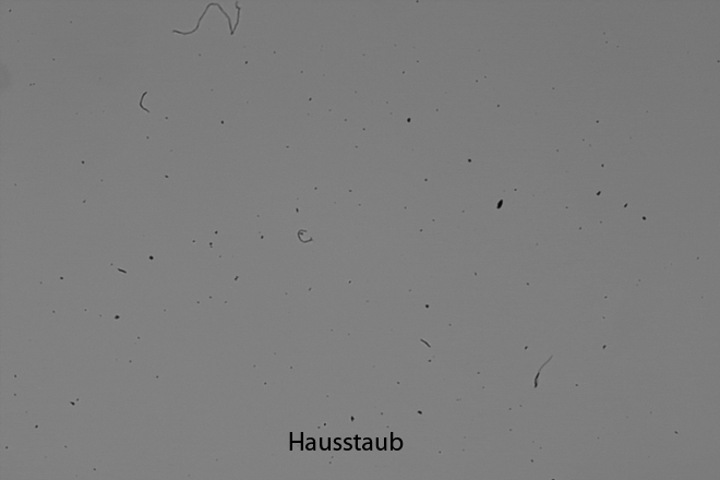 normaler Hausstaub